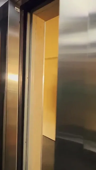 My Black Neighbor Lifted My Dress in the Elevator and Fucked Me Hard