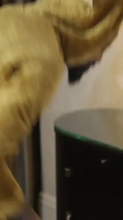 The Big Dick Reindeer