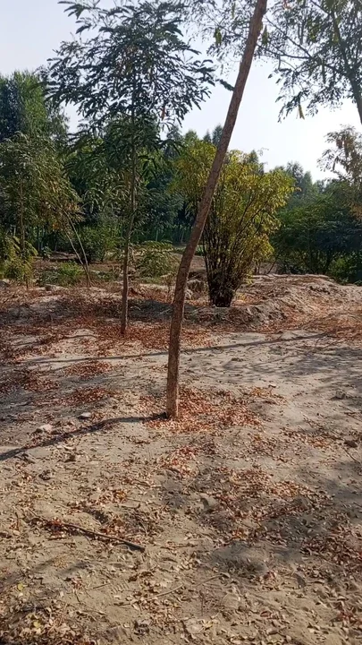 Village main maz