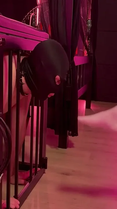 Foot Fetish Bonanza