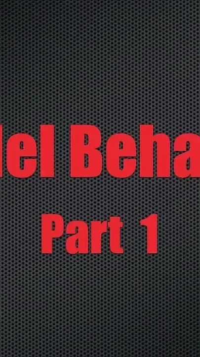 Model Behavior - Chapter 1