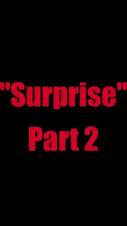 Surprise Chapter 2