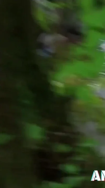 Small tits Shannaya Tweeks found in the woods and fucked