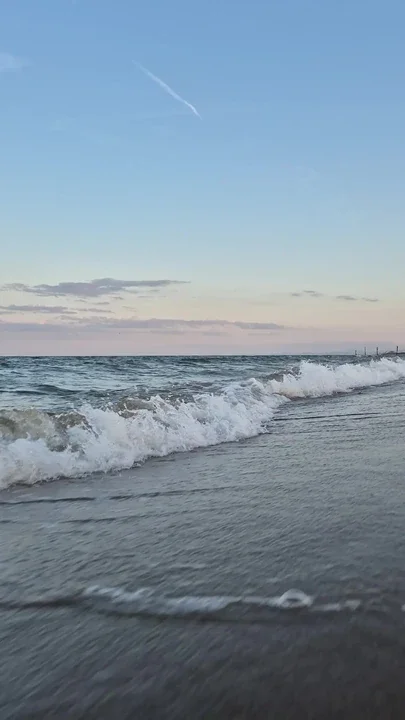 Looking for shells