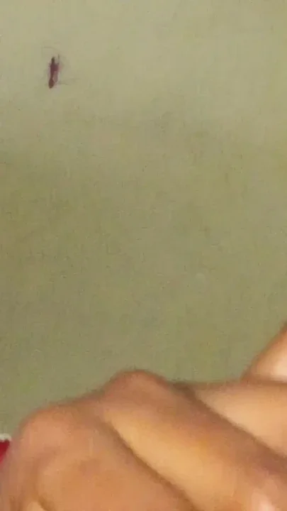 Massager Sister In Law Clip 1