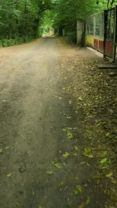 Babe with pierced nipples and tattoos fucks in the woods