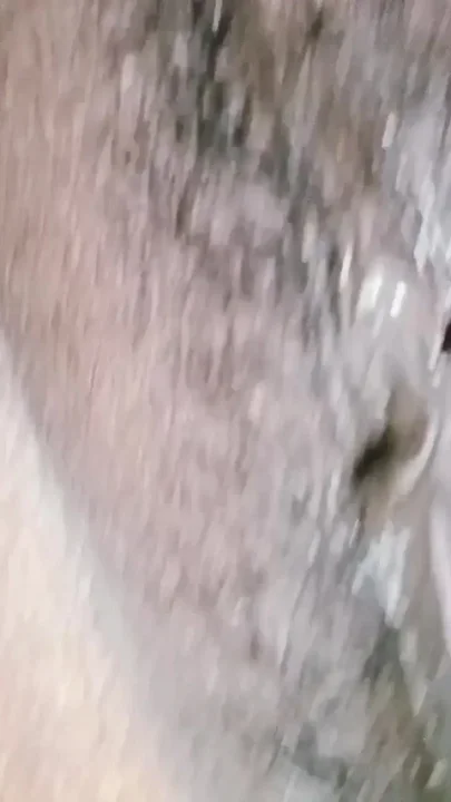 Close-up on My Pregnant Wet Hairy Pussy Indian Aunty XXX Porn Videos
