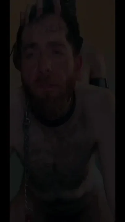Used and Humilated - Pigpervert and Levant Otter