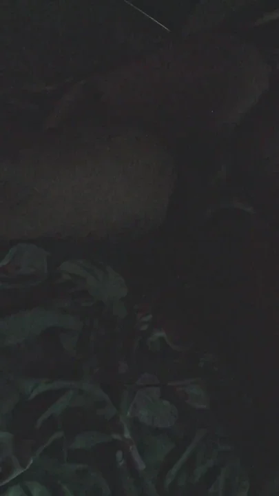 I Hired This Hot Chick To Be A Maid But She Gets On Top Of My Dick Every Chance