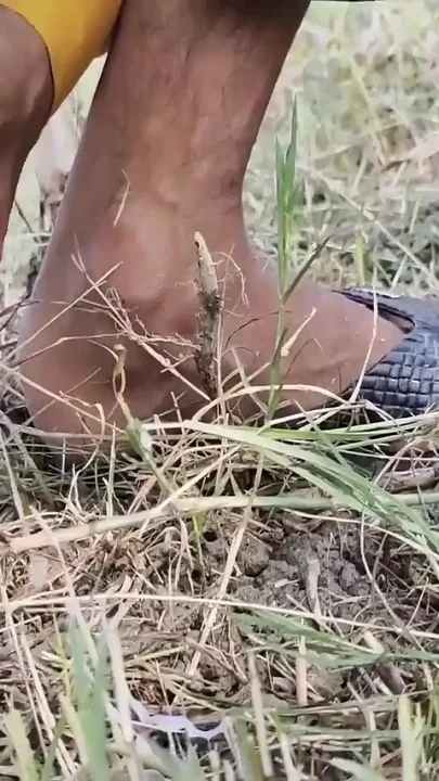 Cumshot Compilation in Outdoor