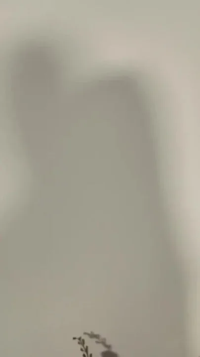 221 - 1 Pretty Girl Blows Dick and Eats Sperm