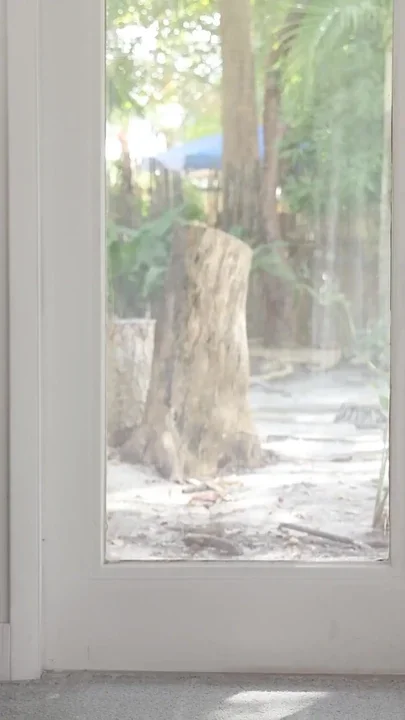 Girl Next Door Has a Little Secret