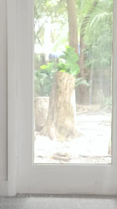 Incredible Hot Asian Girl Has the Time of Her Life