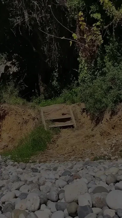 A Normal Day at the Beach