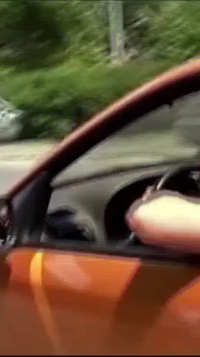 Fucking Neighbors' Wives