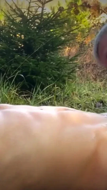 A loving nomadic couple at a rest stop have rough sex in the forest - the man's