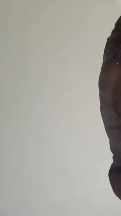 Self fuck my ass cummed everywhere