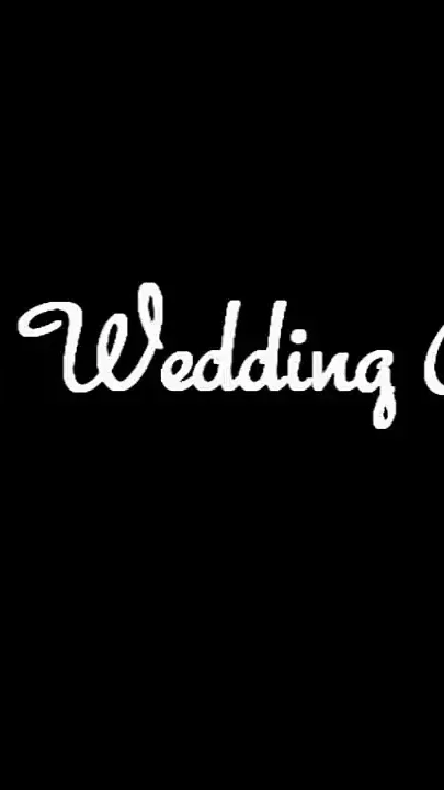 The Wedding Party