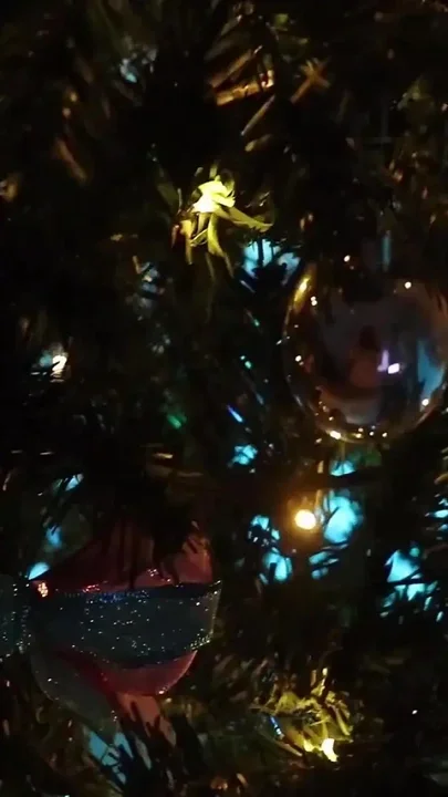 The Wish of a Virgin on Christmas Eve