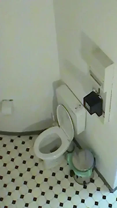 Amateur Phone Sex on the Doctor's Toilet