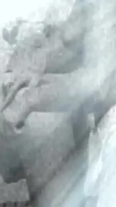 Licking Pussy in the Ladies' Toilet