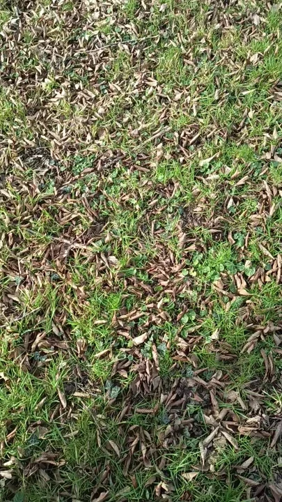 Show Outside