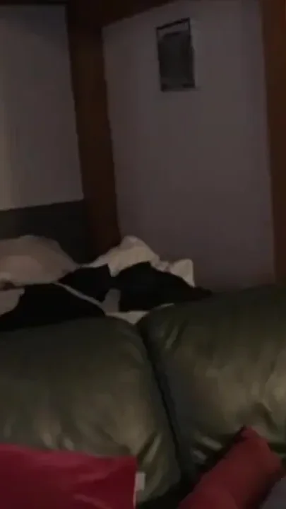 Young slut Latino creampied by XXL cock