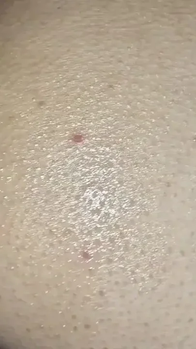 Hole and Cock Equal Cum Close-up of Fucking Ejaculating Cum in the Ass