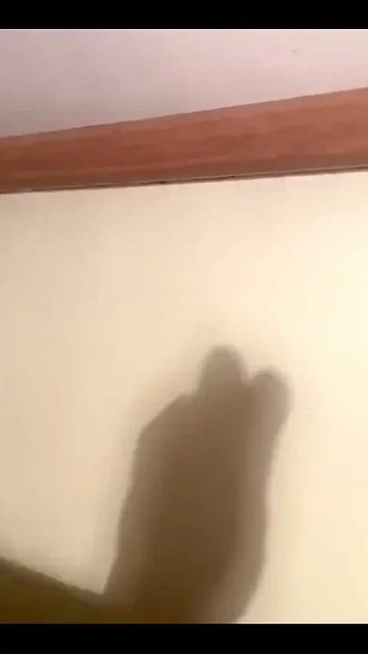 I Was Feeling a Little Lonely
