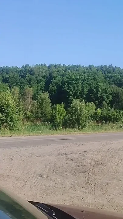 Hot Roadside Sex with Passenger - Wild Doggy to Orgasm