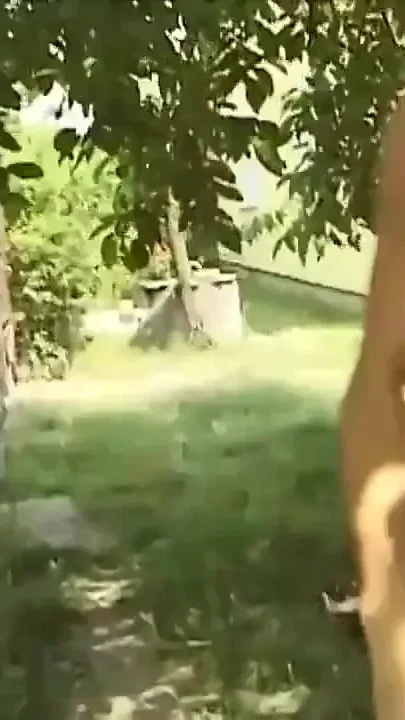 Fat milf threesome ass fucking on the road