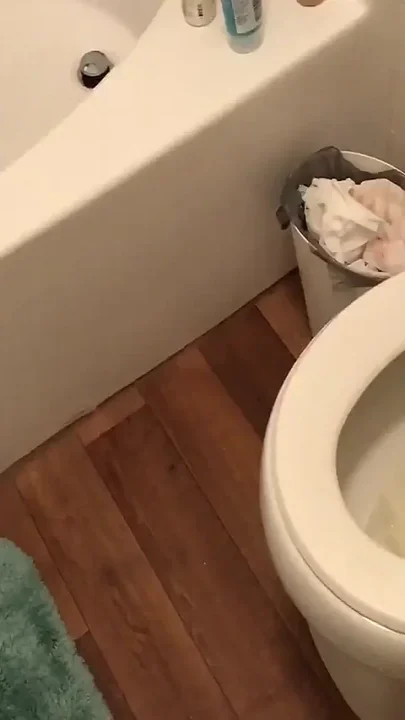 Pee Pants Training