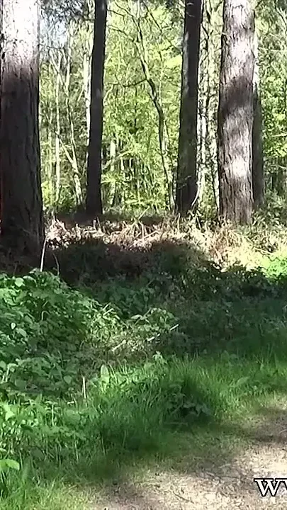 Lady Sonia Nylons and Heels in the Woods