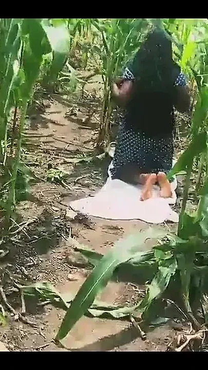 Farm Doggyshot
