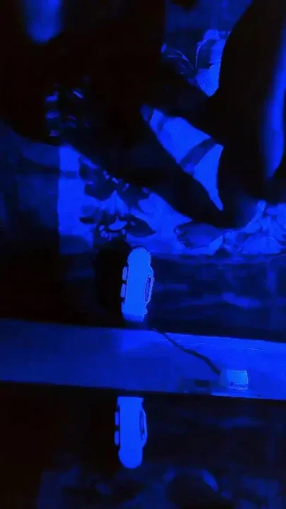 Indian Couple Fucking in Night