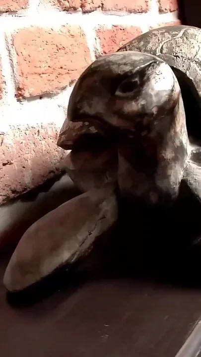 Horny Blonde Wants Two Cocks and Her Husband Watches and Jerks off
