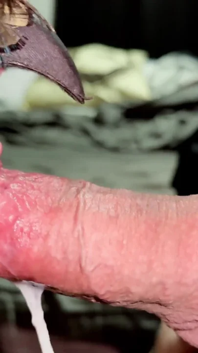 POWERFUL ORGASM as she KEEPS SUCKING Messy POST CUM Blowjob Clip 1