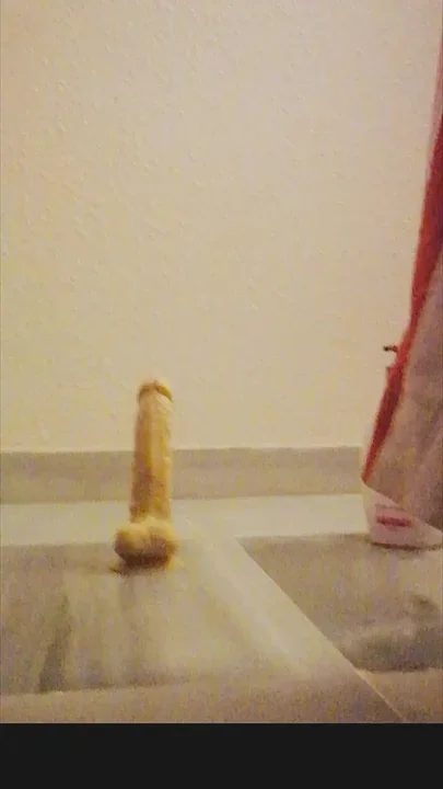 Riding Dildo