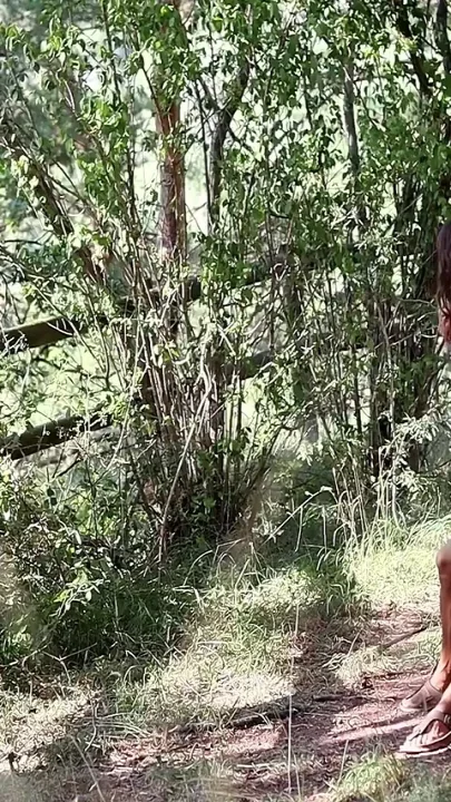 Awaiting in the Woods Till Dani Appears