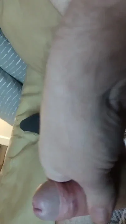 Lying O Playing with My Big Cock O Dream