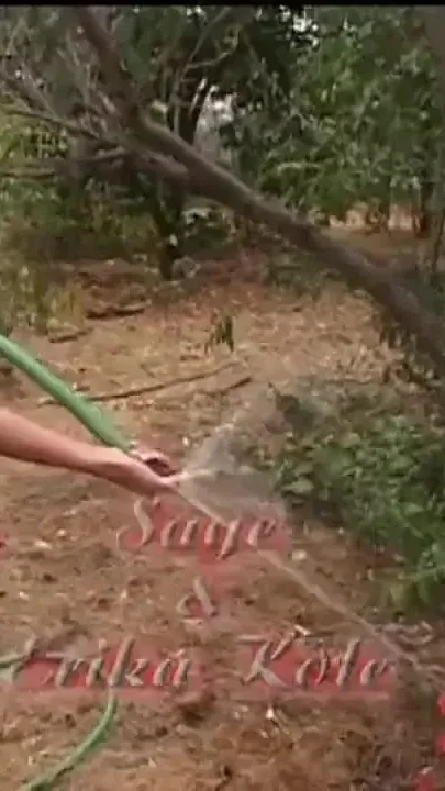 Lesbian Housewife MILF Has a Soft Spot for This Redhead Teen