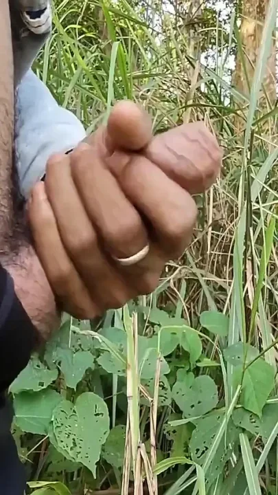 Indian Boy Cumshot in Forest
