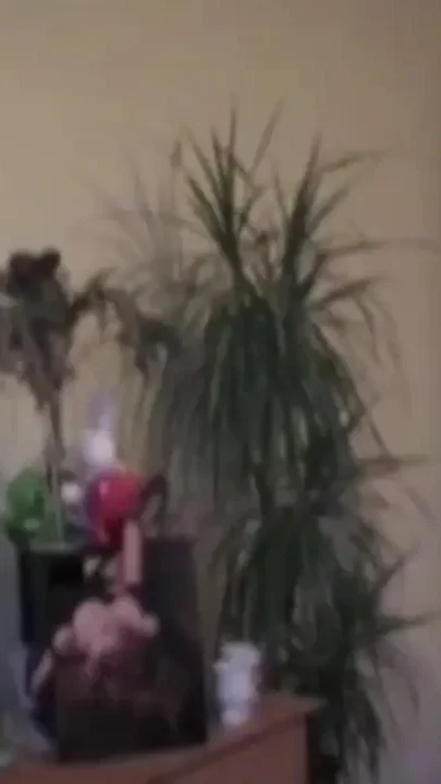 Femiante twink fucked by XXL cock
