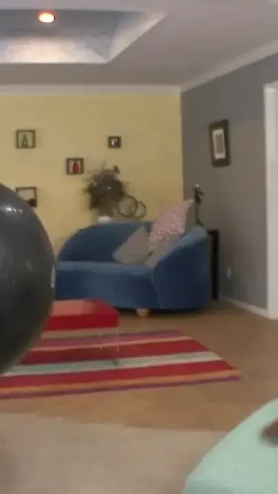 Young brunette eats a huge black cock