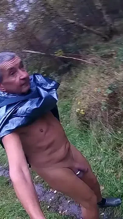 Wet Day in the Woods