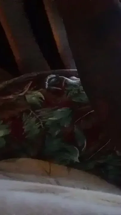She Love to Use Sex Toy