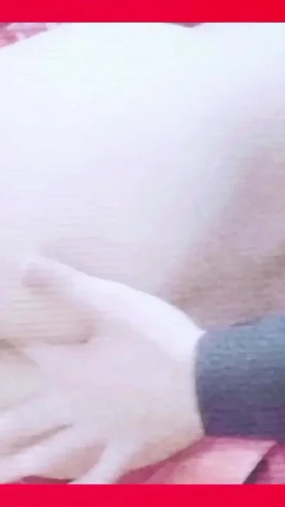 Desi Pakistani boy Ass show Pakistani boy Gand show Clip 2
