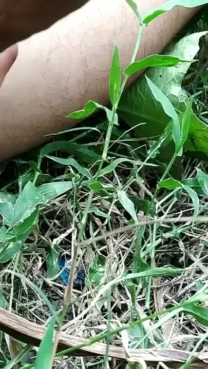 Hot Indian Masturbation on Outdoor Guys Your Self Handjob Indian Masturbation Outdoor