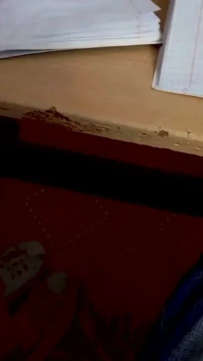 A classmate sucked a dick under a desk in a lesson