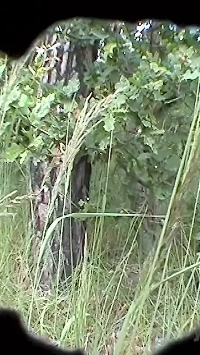 Wet Lesbian Sex in the Open Air